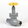 Steel Ammonia Control Valve Durable for Refrigeration Systems