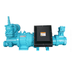 Industrial Two Stage Screw Refrigeration Compressor for Cooling and Freezing Systems