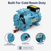 Industrial Two-Cylinder Reciprocating Refrigeration Compressor for Process Cooling and Marine Equipment Systems