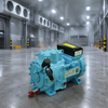 Industrial Two-Cylinder Reciprocating Refrigeration Compressor for Process Cooling and Marine Equipment Systems